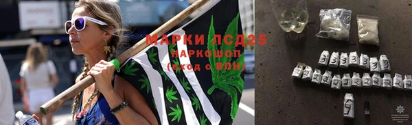 эйфоретик Новозыбков