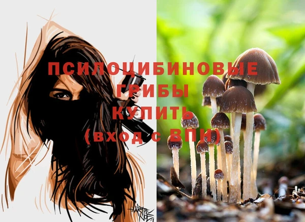мдма Нязепетровск