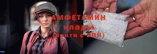 стафф Новодвинск