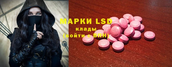стафф Новодвинск
