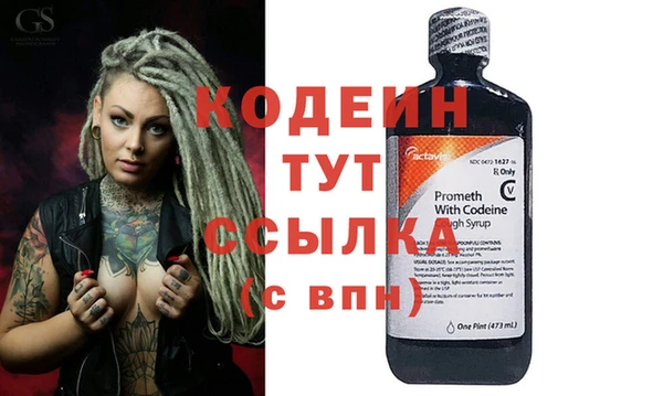 прущие грибы Вязьма