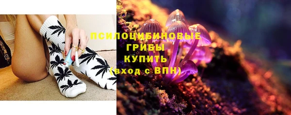 стафф Новодвинск