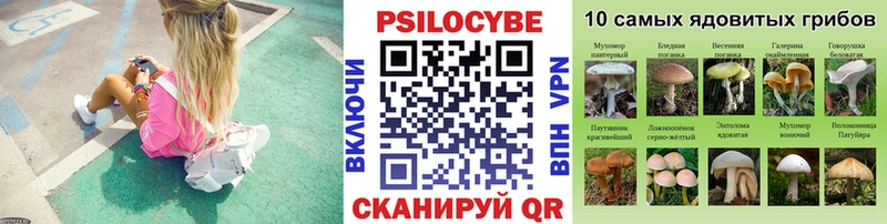 Псилоцибиновые грибы Psilocybe  Ивангород 